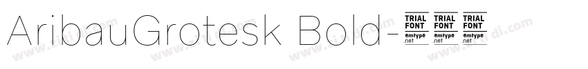 AribauGrotesk Bold字体转换